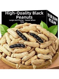 Health Rich Selenium Black Peanuts with Shell