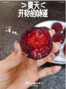 HeCheng Dried Fruit Plums Snacks Non-Nucleus Sugar Coated Traditional Craft Delicious Tasty Traditional Snacks from Fujian