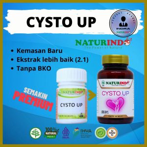 Obat Miom Kista Ovarium Bartholin Servik Ganglion Rahim Alami Ampuh Kapsul Herbal Cysto Up Naturindo