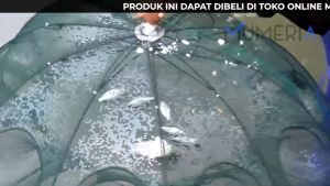 Perangkap Bubu Payung 6 Lubang Alat Jaring Pancing Jala Ikan Udang Kepiting Lele Lobster Sungai Laut Danau Fish Trap Net