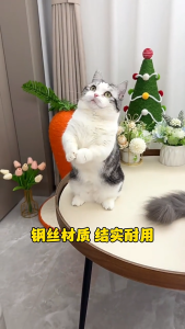 ซื้อ 1 แถม 2 ไม้แมว ยาวสุด ไม่ล่อแมว ไม้ตกแมว ของเล่นแมว ของเล่น สำหรับแมว สำหรับสัตว์เลี้ยง