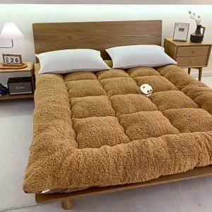 Premium Cashmere Foldable MattressTatami Mattress Bed Mattress Tilam Queen Cashmere Mattress Single/King Foldable 床垫