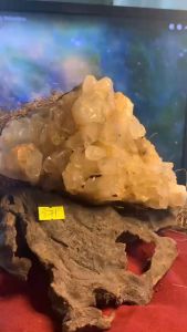 Sale Mảnh đá Thạch Anh trong suốt tự nhiên pha lê Lemurian năng lượng thanh tẩy cao