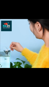 Tempat Makan Ikan Akrilik Apung / Tenggelam Fish Feeder Feeding Tube Panjang 24 – 41 cm Akuarium