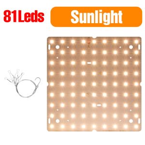 Đèn LED Trồng Cây Quang Phổ Toàn Phần 100W 100-277V Bảng Lượng Tử Chiếu Sáng Thủy Canh Cho Nhà Kính Trồng Rau Đèn Bổ Sung