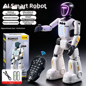 Remote Control Programmable Educational Dancing Singing Robot Toy