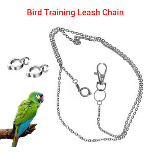 Metal stainless steel Bird Training Leash with Training Ring for Birds
