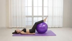 [Sg Seller] 65CM Burst Resistance Yoga Ball Gym Fitness Iron Shake Weight - Includes Hand-Pump
