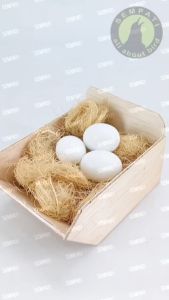 SEMPATI Kotak Kayu Kubik Tempat Sarang Bertelur Burung Kenari Finch Lovebird Wadah Ngeram Tempat Susuh Ternak Breeding Koloni Burung Kandang Burung Kenari Lovebird Lb Finch Dll