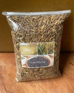 Benih padi ketan hitam super unggul-az