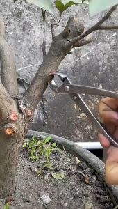 Comfortable Garden Bonsai Knob Cutter for Garden Landscape Modeling Easy Use Effort Saving