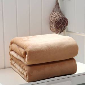 Jiaxun | Spring Summer Thin Blanket Coral Fleece