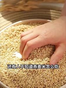 Organic Whole Germ Oat Rice for Diabetics Healthy Staple Food
