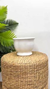 Bộ 4 chậu trồng hoa dáng quả bí 17x11x12cmnhựa dày đẹp