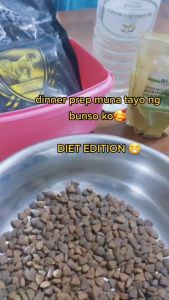 All Stages Monge Special Dog 9kg Adult and Puppy Dog Dry Food Accessories Essentials Dogs