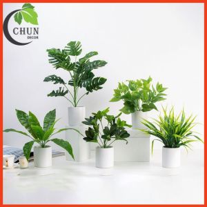 Chậu cây để bàn trang trí nhiều mẫu