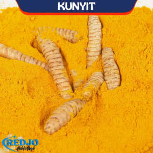 Kunyit kunir fresh 1Kg Cuci Bersih Baru Panen Rempah Herbal Bumbu Dapur JSR 100% Premium Quality