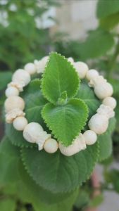 Vòng tay hạt bạch bối chạm khắc túi phúc