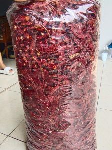 CABE RAWIT TEJA KERING JAPLAK 1KG PROMO MURAH TERLARIS BISA COD