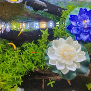 บัวปลอม ดอกบัวปลอม ดอกบัวลอยน้ำ ดอกบัวเล็ก10ซม/18ซม ดอกบัวบูชาพระ ไม้ประดับ ตกแต่งบ้าน ดอกไม้ปลอม บัวประดิษฐ์