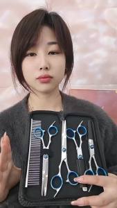 Stainless Cat Dog Hair Grooming Steel Pet Safe Scissors Ambidextrous Shears with Round Head for Precision Trimming
