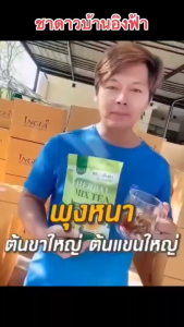 (แท้100%) ชาดาวอินคา บ้านอิงฟ้า ชาดาวอินคา ลด น้ำหนักชาสมุนไพรออแกนิค 1ห่อ30ซอง