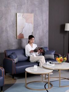 【Desiny】Nordic Simple Technology Fabric Sofa Double Three Seat Sofa Small Family Living Room Clothing Store