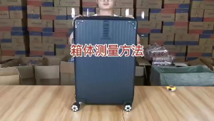 [SG Stock]PVC Waterproof Transparent Luggage Suitcase Bag Cover Protector (20 22 24 26 28 30 Inch)Available