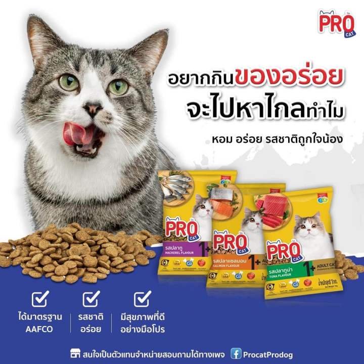 Pro cat โปรแคท อาหารแมวโปรแคท สำหรับแมวโตทุกสายพันธุ์ เน้นนาก1 kg ...