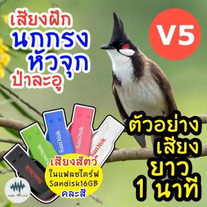 เสียงนกกรงหัวจุกV.5 ป่าละอู เมม/แฟลชไดร์ฟเสียงฝึกนกกรงหัวจุก มีเก็บเงินปลายทาง เสียงจริง ชัดแจ๋ว 100% ไม่มีโฆษณาแทรก (MP3 เสียงต่อสัตว์)
