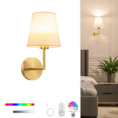 Wireless Rechargeable Battery-Powered Wall Light with Dimmable Detachable Bulb and Remote Control 15 Colors Suitable for Bedroom Living Room Hallway Decoration