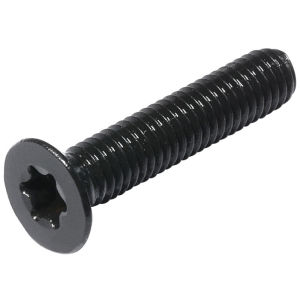 qd | Anti-theft Anti-removal Torx Flat Head Black Stainless Steel Screws
