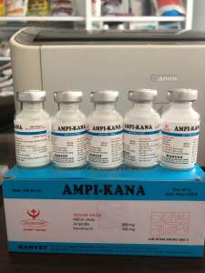AMPI KANA (1 lọ) bột pha tiêm dùng cho vật nuôi