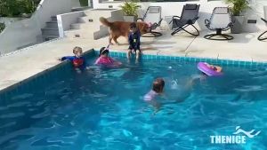 หน้ากากดำน้ำรูปปลาฉลาม สำหรับเด็ก***สินค้าพร้อมส่ง***