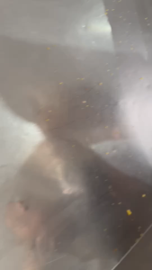 วอลนัท มีเปลือก อบกลิ่นวอลนัท (Walnut) หอม กรอบ อร่อย วัตถุดิบเกรดพรีเมี่ยม มีประโยชน์