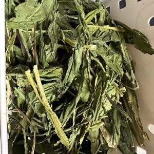Small Seven Hemp Totoro Purple Clover 1kg Guinea Pig Grass Rabbit Grass Feed Cymbal Grass Young Rabbit Food Hay