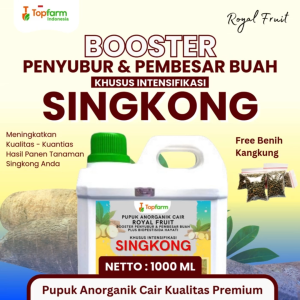 Pupuk Singkong Terbaik - Pupuk Agar Tanaman Singkong Subur Berbuah Besar dan Banyak - Pupuk Khusus Singkong