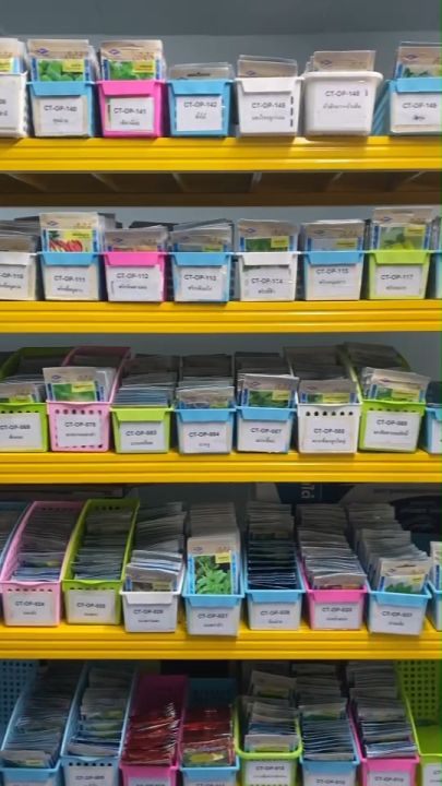 เมล็ดพันธุ์ผักชี เจียไต๋ ประมาณ 1,110 เมล็ด