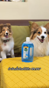 Dettol เดทตอล น้ำยาฆ่าเชื้อเดทตอล น้ำยาฆ่าเชื้อโรค ไฮยีนมัลติ-ยูส น้ำยาถูพื้น สูตรคอตตอน บรีซ 750มล.X12 Dettol Hygiene Multi-use 750mlX12