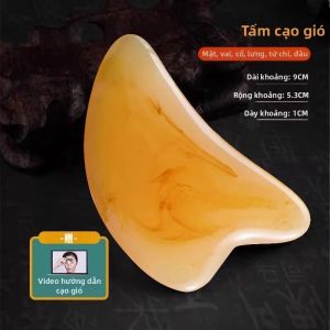 Bàn Chải Xoa Bóp Bằng Sừng Bò Bàn Chải Xoa Bóp Da Mặt Bàn Chải Xoa Bóp Toàn Thân Bàn Chải Xoa Bóp Nâng Cơ Mặt Thiết Bị Chăm Sóc Sức Khỏe