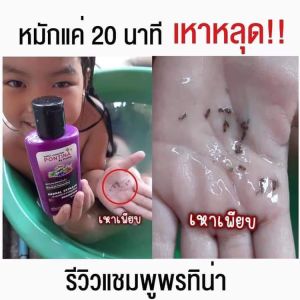 แชมพู+ครีมนวด ฟรีหวีสางเหา สำหรับคนเป็นเหา แชมพูเด็ก สูตรสมุนไพร  กลิ่นหอม อ่อนโยน 1ขวบใช่ได้ ทำความสะอาดเส้นผม