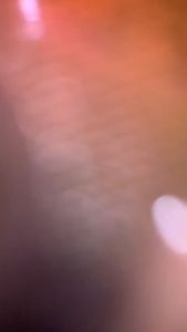 NEO ENTROSTOP STRIP 10 TAB/ MENGATASI DIARE Tablet Berbahan Kunyit Pengiriman Cepat Dan Instan Brand Entrostop - Lazada