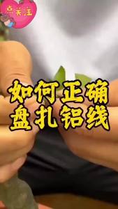 10/5m Aluminum Bonsai Wires For Bonsai Tree Shaping Branches Fixing Bendable Plants Support Training Wire Gardening Accessories