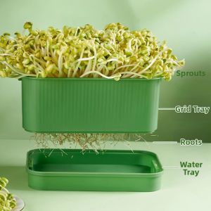 Educational Plant Growing Kit Small Pot