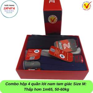 Combo 2 hộp Fullbox quần lót nam tam giác thun lạnh mềm mại mát lạnh co giãn 4 chiều khó bám bẩn chống khuẩn ZAPATA