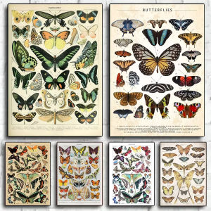 Jigsaw Puzzle 1000Pieces Retro Butterfly And Insects Scientific Poster For Adults Stress Relief Relaxing Hobby Brain Teaser Gift