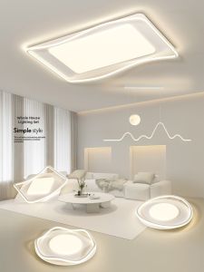 Modern Minimalist Whole House Combination Light