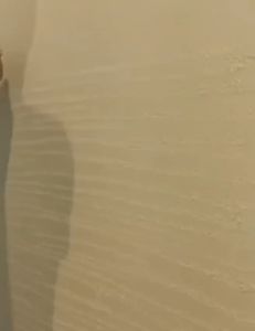 Vữa sơn Tường hiệu ứng Travertine Plaster chịu ẩm bám dính nhiều màu-5 Sơn Tường Chống Thấm Nước Và Bám Dính Sơn Nội Thất Nhiều Màu An Toàn - Lazada