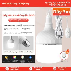 CHANGHONG | Ổ Cắm Treo với Công Tắc và Phích Cắm E27