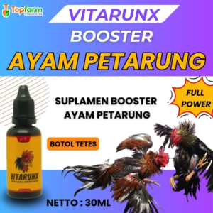 Vitamin Ayam Aduan 30ML/ Jamu Ayam Aduan/ Obat Ayam Aduan/ Vitamin Penambah Stamina Ayam Aduan/ Doping Ayam Laga/ Vitamin Ayam Bangkok